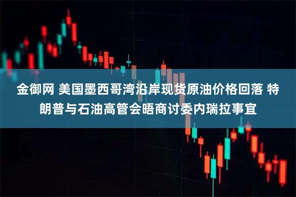 金御网 美国墨西哥湾沿岸现货原油价格回落 特朗普与石油高管会晤商讨委内瑞拉事宜