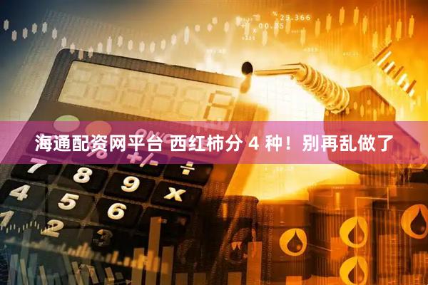 海通配资网平台 西红柿分 4 种！别再乱做了